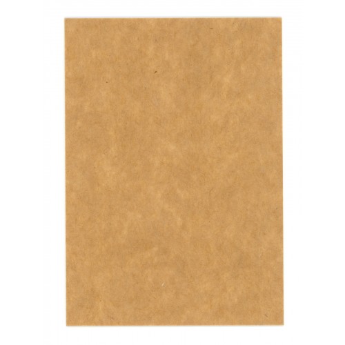 2024-25 O-Pee-Chee Retro Blank Back # 513 Sergei Bobrovsky