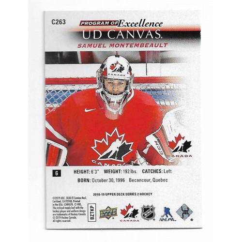 2018-19 Upper Deck Canvas # C263 Samuel Montembeault RC 